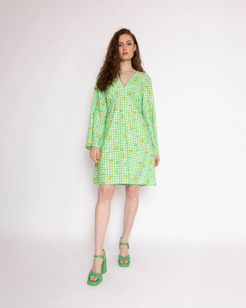 Twiggy Gingham Floral Mini Dress