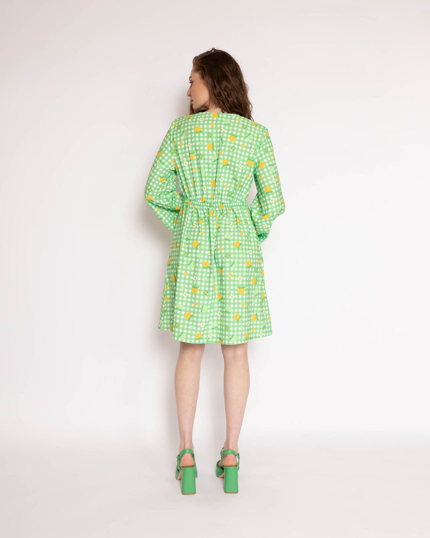 Twiggy Gingham Floral Mini Dress