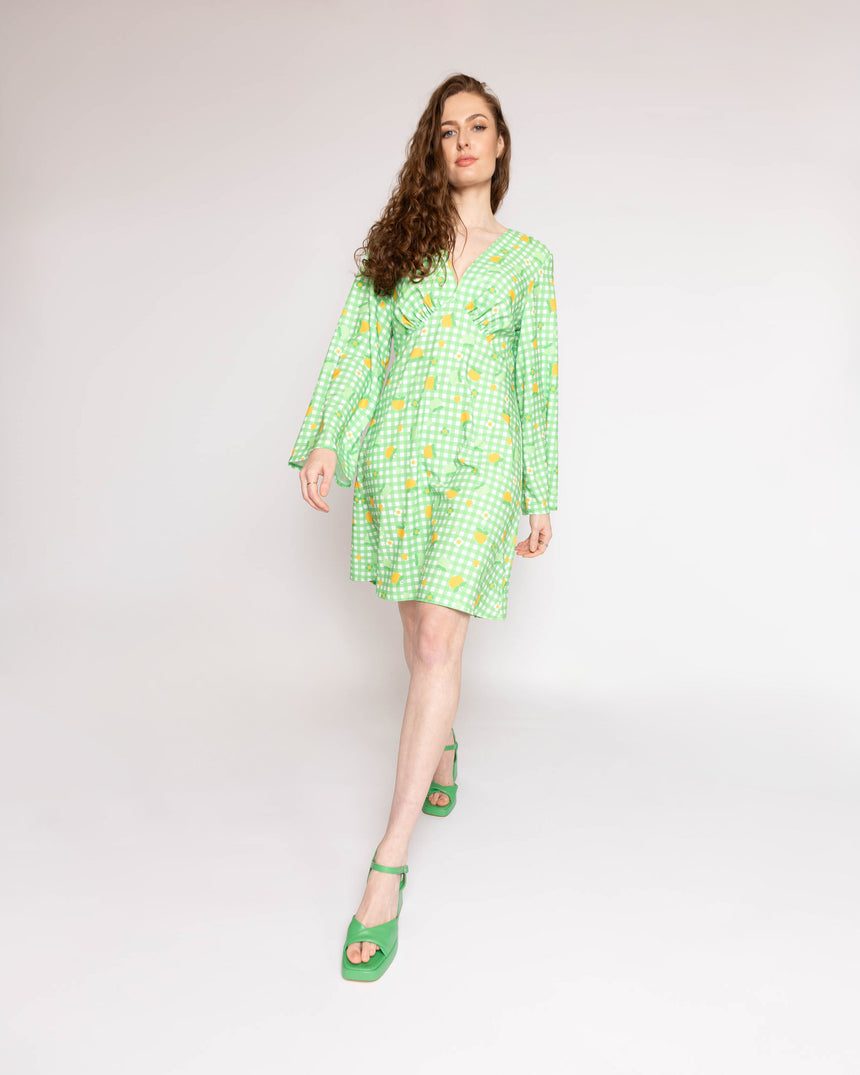 Twiggy Gingham Floral Mini Dress