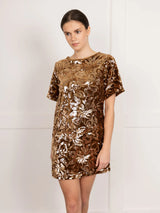 Brown Velvet Sequin Mini Dress