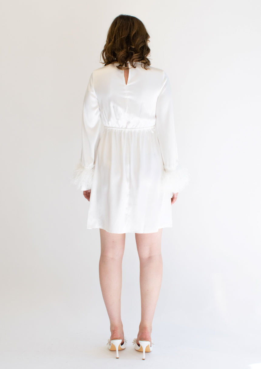 Mini Dress Feathered Dress